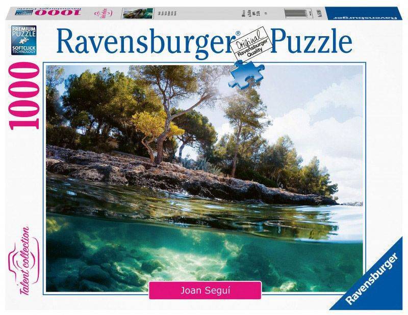 ΟΠΤΙΚΗ ΓΩΝΙΑ RAVENSBURGER - 1000 ΚΟΜΜΑΤΙΑ