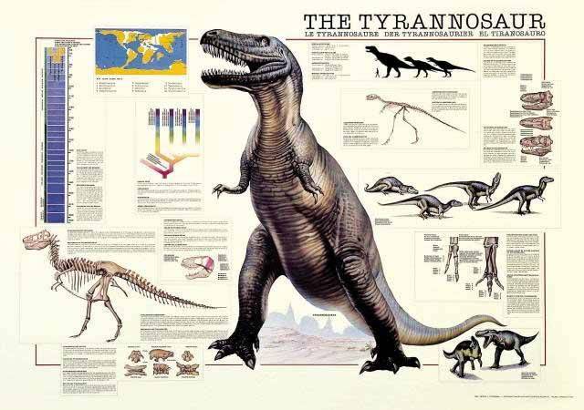 THE TYRANNOSAUR RICORDI 1000 ΚΟΜΜΑΤΙΑ