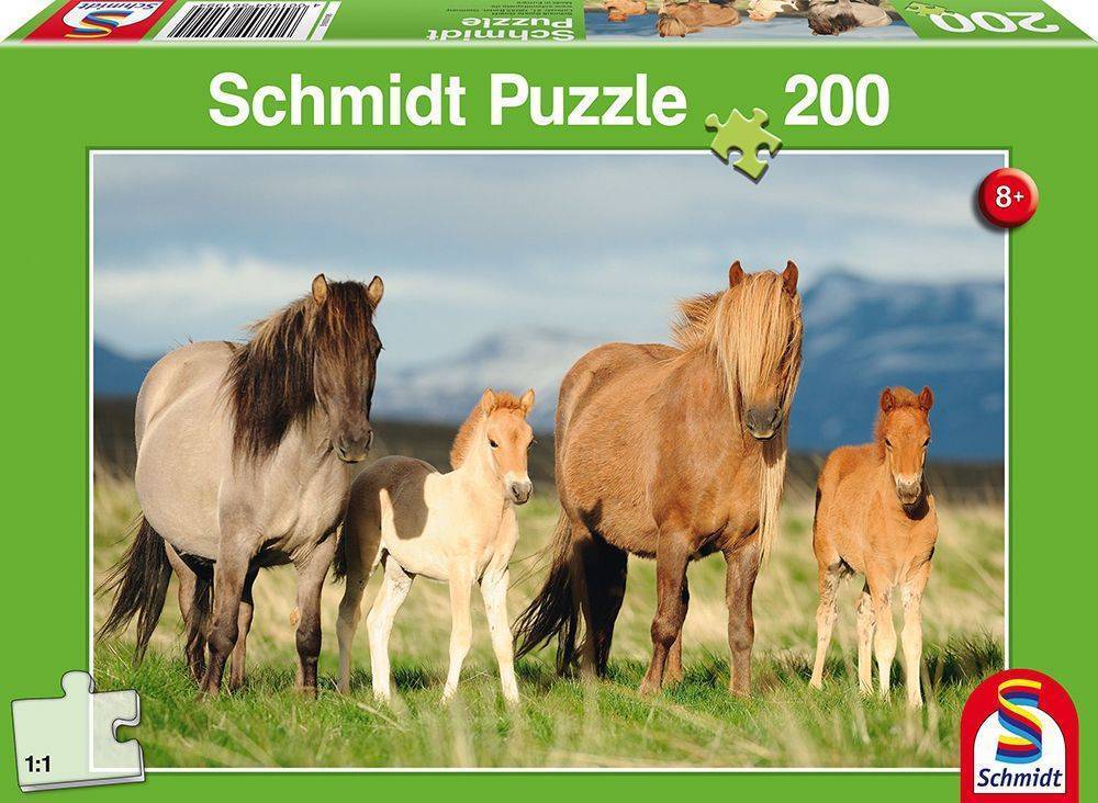 ΟΙΚΟΓΕΝΕΙΑ ΑΛΟΓΩΝ SCHMIDT 200 ΚΟΜΜΑΤΙΑ (56199) SCHMIDT