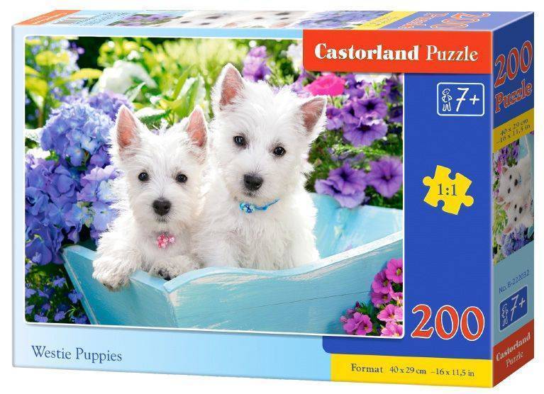 WESTIE PUPPIES CASTORLAND 200 ΚΟΜΜΑΤΙΑ