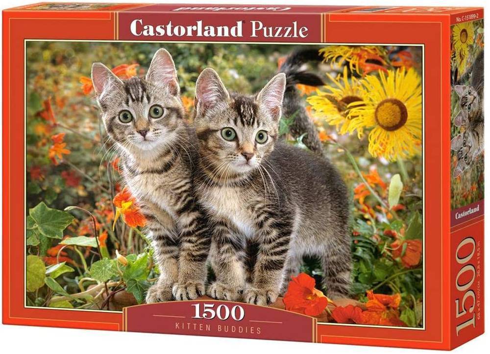 KITTEN BUDDIES CASTORLAND 1500 ΚΟΜΜΑΤΙΑ CASTORLAND