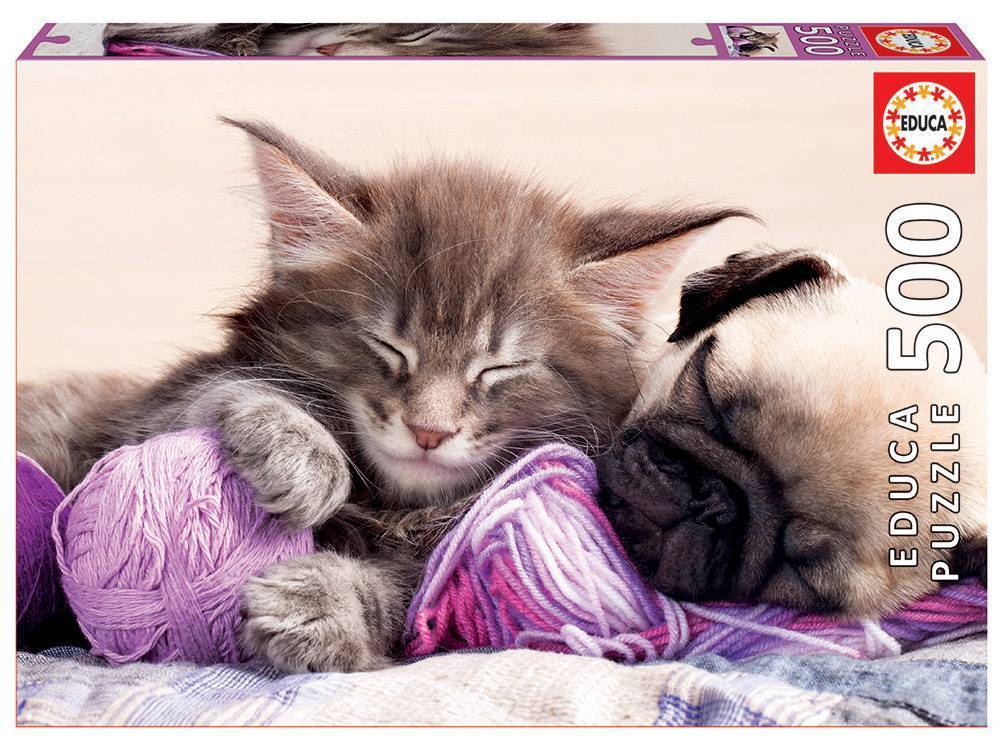 DREAM COMPANIONS EDUCA 500 ΚΟΜΜΑΤΙΑ EDUCA