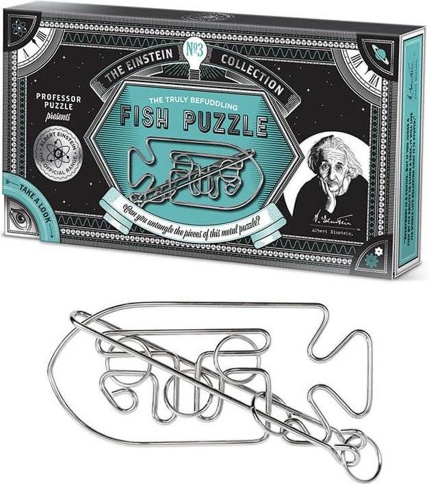 EINSTEIN'S THE FISH PUZZLE PROFESSOR PUZZLE