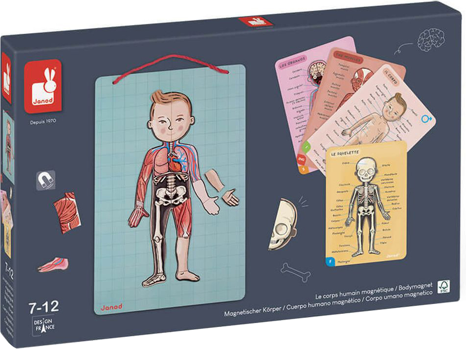 ΜΑΓΝΗΤΙΚΟ ΠΑΙΧΝΙΔΙ JANOD ΤΟ ΑΝΘΡΩΠΙΝΟ ΣΩΜΑ (J05491) JANOD