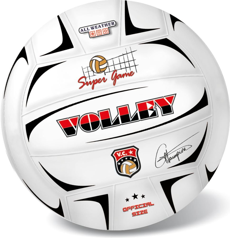 ΜΠΑΛΑ VOLLEY CHAMPIONS 21CM