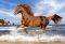 HORSE ON THE BEACH - 500 