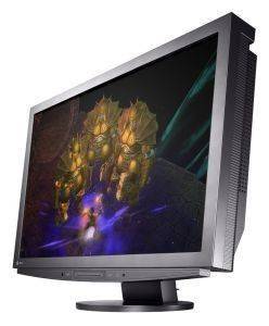 EIZO 24\'\' D2441W-S