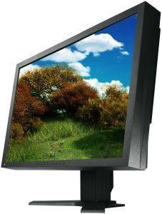 EIZO S2202WHA-BK DVI-I + ANALOG 22\'\' BLACK