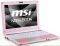 MSI VR220 GR PINK