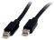 STARTECH MINI DISPLAYPORT CABLE - M/M 1M