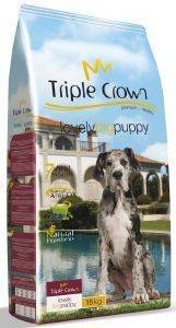  TRIPLE CROWN LOVELY BIG PUPPY   &  15KG