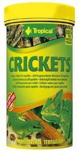   TROPICAL CRICKETS 250ML