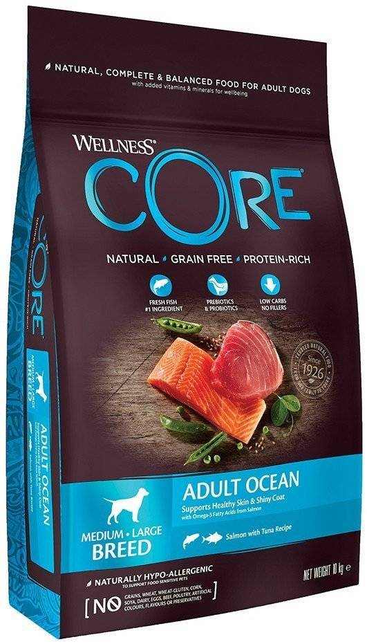 ΤΡΟΦΗ ΣΚΥΛΟΥ WELLNESS CORE ADULT OCEAN ΣΟΛΩΜΟΣ - ΤΟΝΟΣ 10KG
