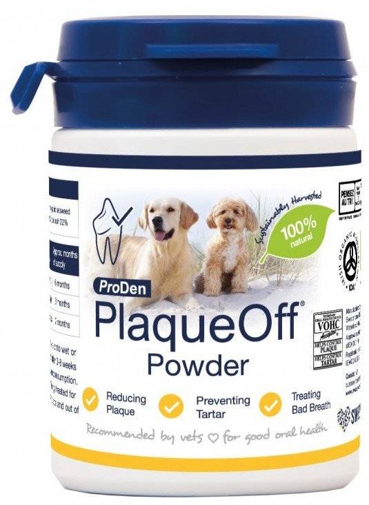 PRODEN PLAQUE OFF ΣΚΟΝΗ ΣΤΟΜΑΤΙΚΗΣ ΥΓΙΕΙΝΗΣ 60GR PLAQUE OFF