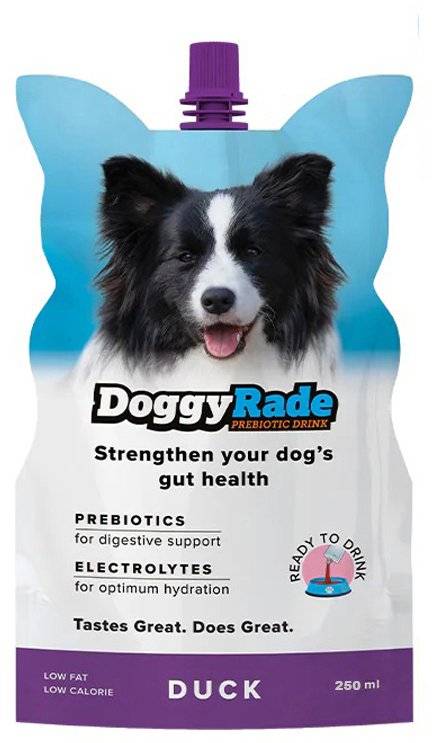 ΙΣΟΤΟΝΙΚΟ ΡΟΦΗΜΑ DOGGYRADE ΜΕ ΓΕΥΣΗ ΠΑΠΙΑ 250ML DOGGYRADE