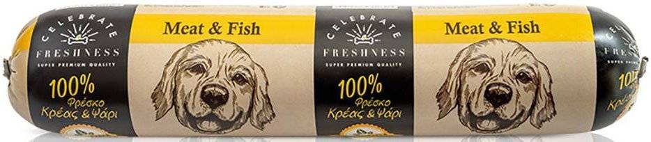 ΣΑΛΑΜΙ CELEBRATE FRESHNESS ADULT MEAT - FISH 800GR CELEBRATE FRESHNESS