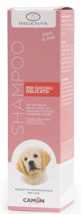 ΣΑΜΠΟΥΑΝ CAMON ΓΙΑ ΚΟΥΤΑΒΙΑ (250ML)