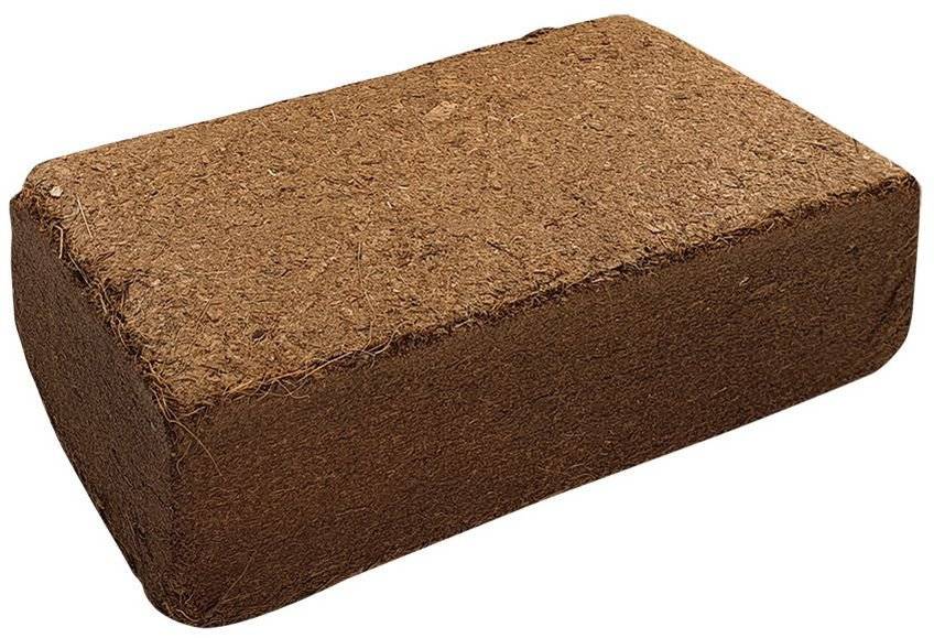 NOBBY ΣΤΡΩΜΝΗ ΤΡΩΚΤΙΚΩΝ NOBBY COCONUT BEDDING 4,850KG