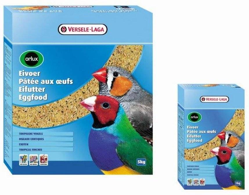 ORLUX ΑΥΓΟΤΡΟΦΗ ORLUX ΓΙΑ ΕΞΩΤΙΚΑ ΠΟΥΛΙΑ (1KG)