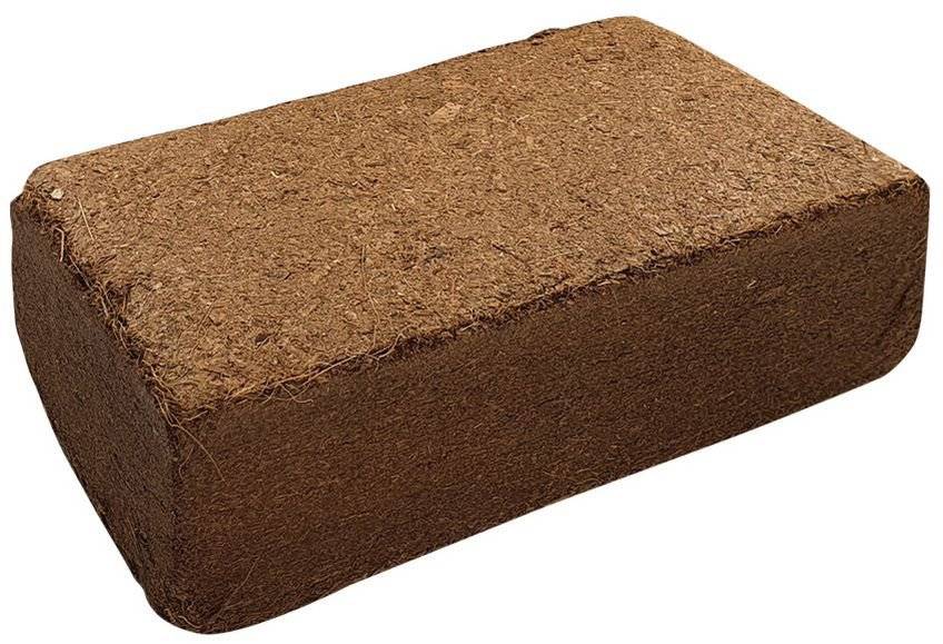 ΣΤΡΩΜΝΗ ΤΡΩΚΤΙΚΩΝ NOBBY COCONUT BEDDING (650GR) NOBBY