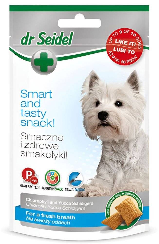 DR SEIDEL ΛΙΧΟΥΔΙΕΣ DR SEIDEL FRESH BRESTH (90GR)