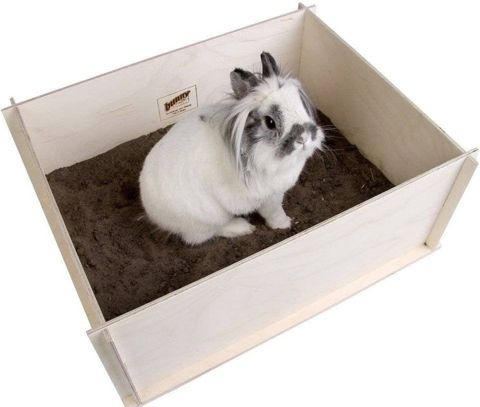 ΠΑΙΧΝΙΔΙ BUNNY NATURE DIGGING FUN ΚΟΥΤΙ ΣΚΑΨΙΜΑΤΟΣ (50X39X19.5CM) BUNNY NATURE