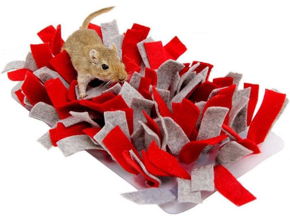 ΠΑΙΧΝΙΔΙ ΤΡΩΚΤΙΚΩΝ BUNNY NATURE ΧΑΛΑΚΙ ΑΝΑΖΗΤΗΣΗΣ ΜΕ ΤΣΟΧΑ ΚΟΚΚΙΝΟ ΓΚΡΙ (15X28CM)