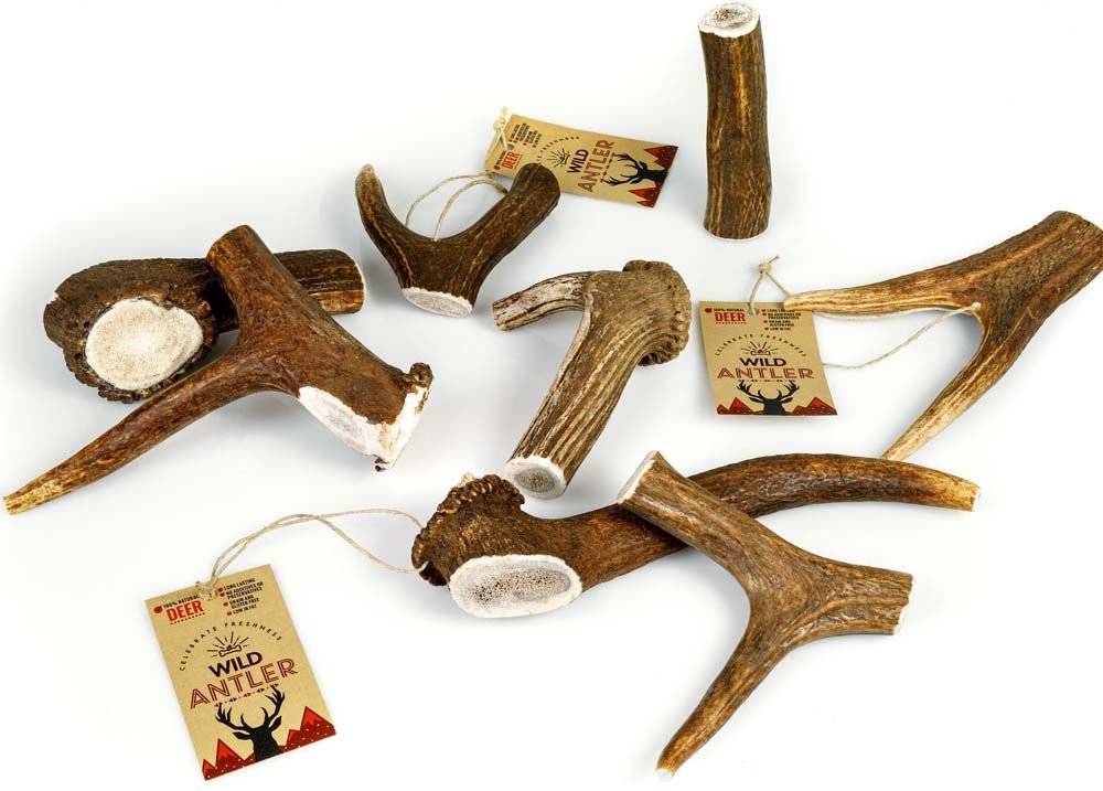 SNAK CELEBRATE FRESHNESS RED DEER ANTLER L (85-125GR)