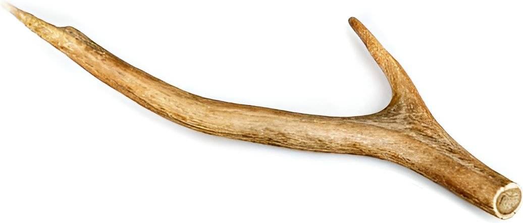 SNAK CELEBRATE FRESHNESS RED DEER ANTLER XL (125-160GR)