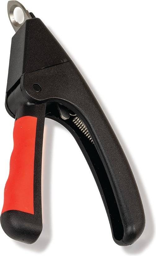 GLEE ΝΥΧΟΚΟΠΤΗΣ GLEE ΓΚΙΛΟΤΙΝΑ ΜΑΥΡΟ ΚΟΚΚΙΝΟ