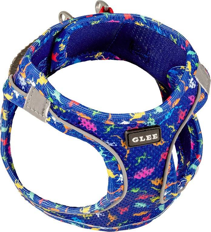 ΣΑΜΑΡΑΚΙ GLEE DINO BLUE (3XS) GLEE