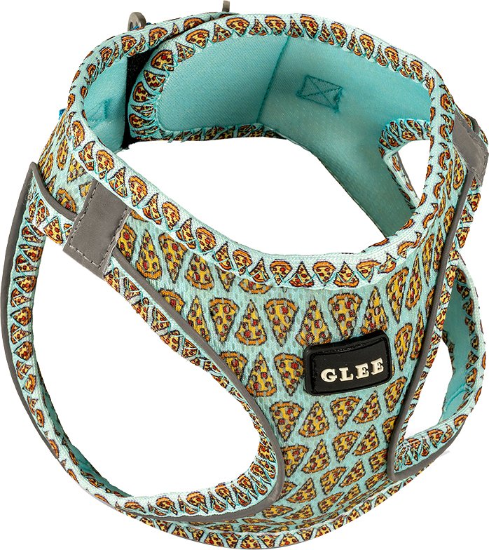 GLEE ΣΑΜΑΡΑΚΙ GLEE PIZZA AQUA (2XS)