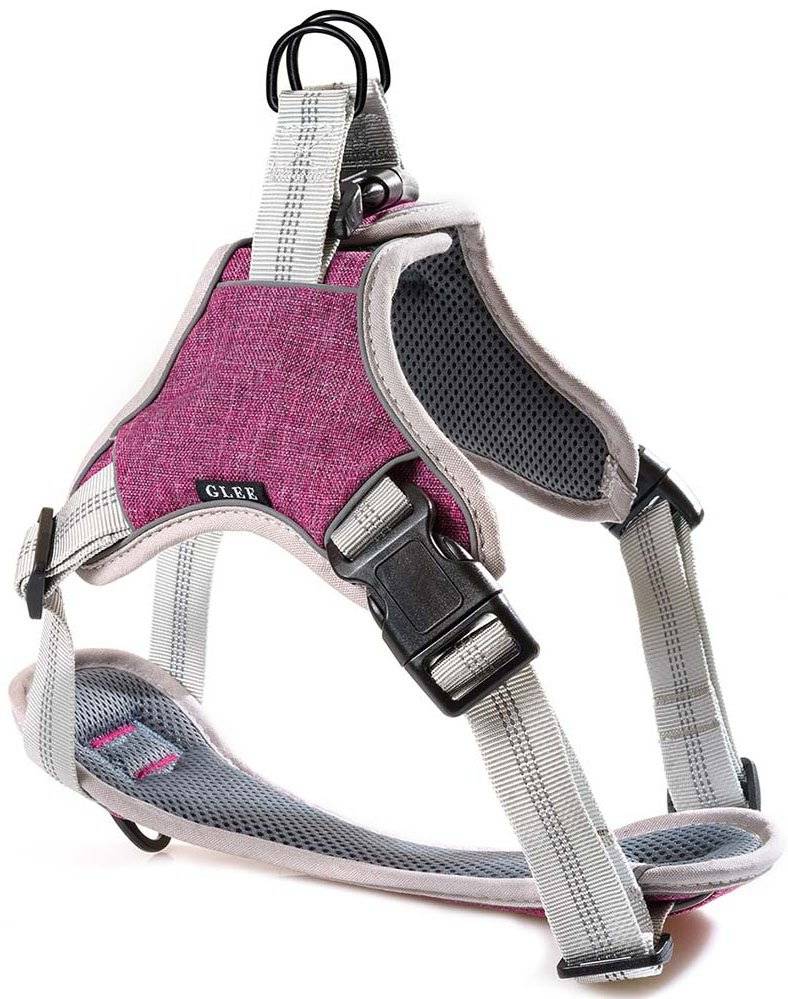 ΣΑΜΑΡΑΚΙ GLEE ΙΜΑΝΤΑ SADDLE BORDEAUX L (61-76CM)