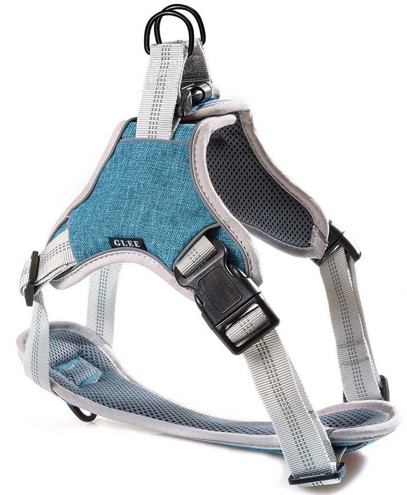 ΣΑΜΑΡΑΚΙ GLEE ΙΜΑΝΤΑ SADDLE PETROL L (61-76CM) GLEE