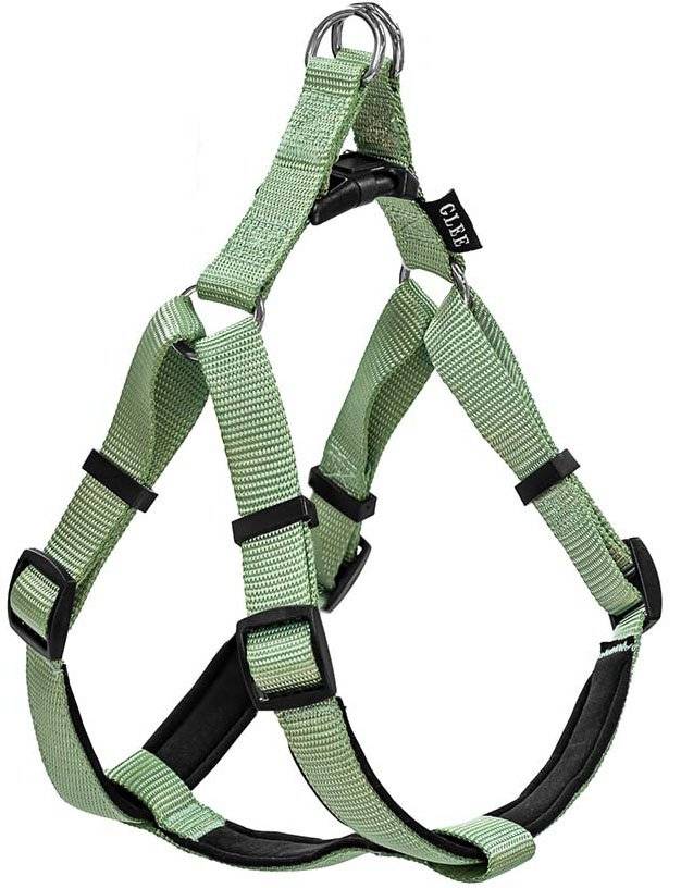 ΣΑΜΑΡΑΚΙ GLEE NEOPRENE TEAL M (20MMX56-66CM)