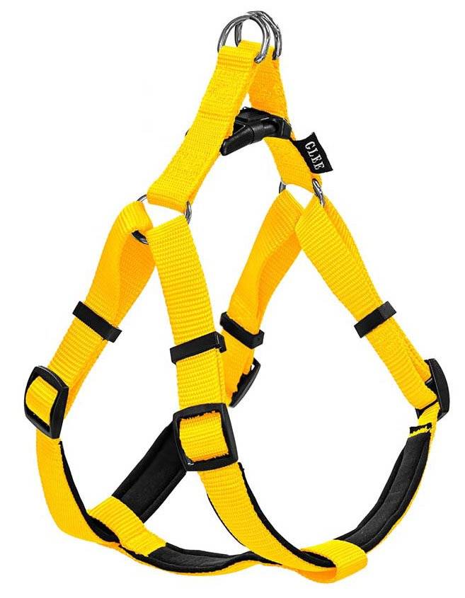 ΣΑΜΑΡΑΚΙ GLEE NEOPRENE YELLOW L (25MMX71-81CM) GLEE
