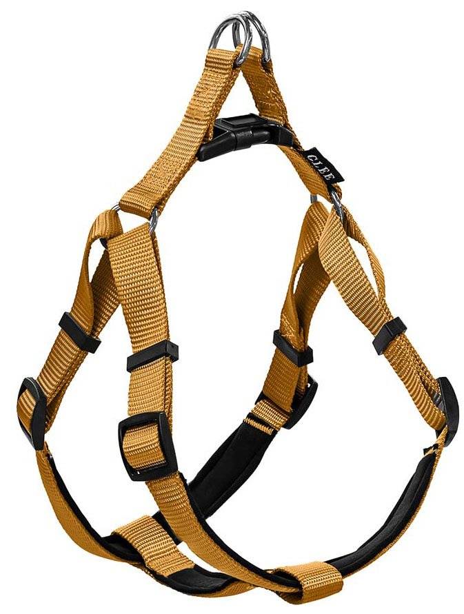 ΣΑΜΑΡΑΚΙ GLEE NEOPRENE OCHRE L (25MMX71-81CM) GLEE