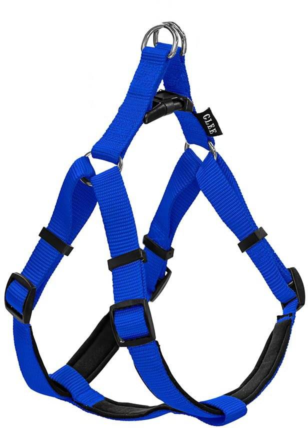 ΣΑΜΑΡΑΚΙ GLEE NEOPRENE BLUE XS (10MMX25CM-36CM)
