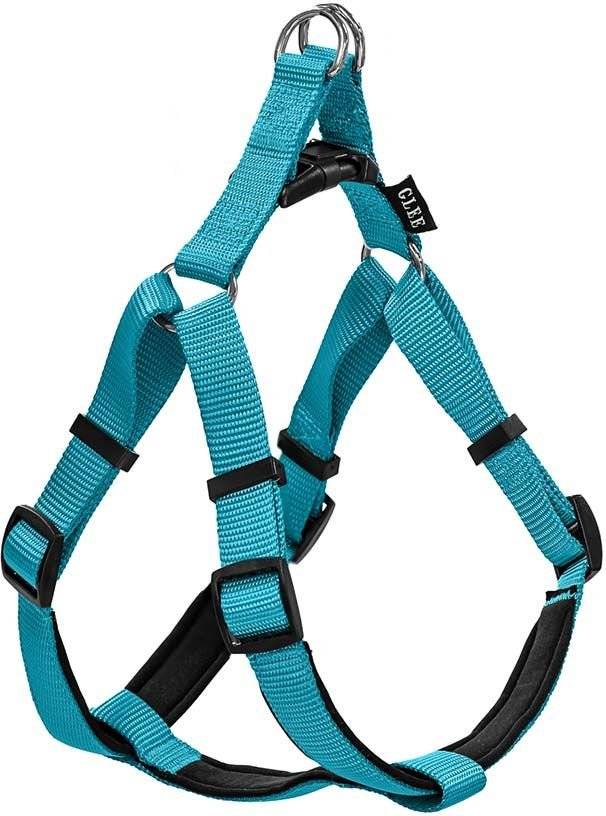ΣΑΜΑΡΑΚΙ GLEE NEOPRENE PETROL M (20MMX56-66CM) GLEE