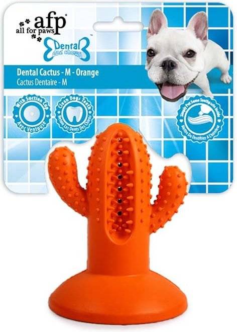 ΜΑΣΗΤΙΚΟ ΠΑΙΧΝΙΔΙ AFP CACTUS RUBBER ΠΟΡΤΟΚΑΛΙ (13X9,5X9,5CM) AFP