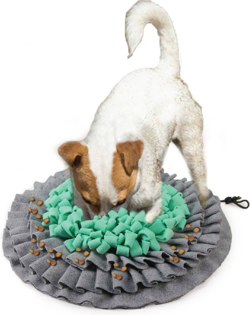 ΠΑΙΧΝΙΔΙ ΣΚΥΛΟΥ AFP DIG IT TREAT MAT (48X48X5CM)