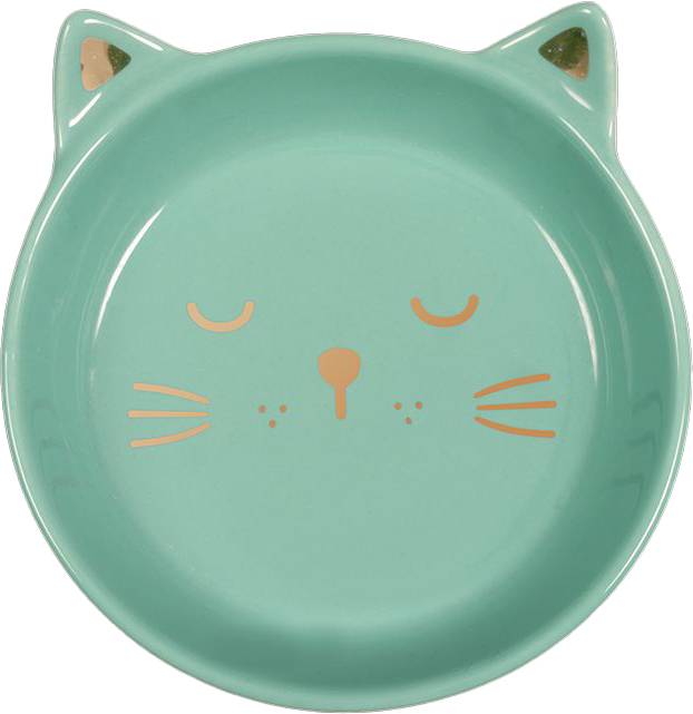 ΠΙΑΤΟ GLEE ΚΕΡΑΜΙΚΟ CHILL ΜΕΝΤΑ (270ML/16,5X14,5X4,5CM) GLEE