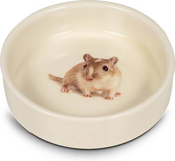 GLEE ΜΠΟΛ GLEE HAMSTER ΚΕΡΑΜΙΚΟ ΜΠΕΖ (125ML/9,6X2,5CM)