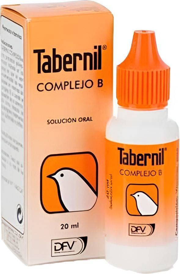 ΒΙΤΑΜΙΝΟΥΧΟ ΣΚΕΥΑΣΜΑ TABERNIL COMPLEJO B (20ML) TABERNIL