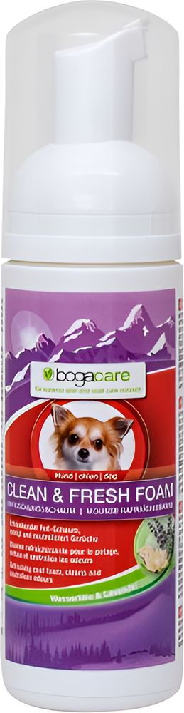 BOGAR ΑΦΡΟΣ ΚΑΘΑΡΙΣΜΟΥ BOGACARE CLEAN - FRESH (150ML)