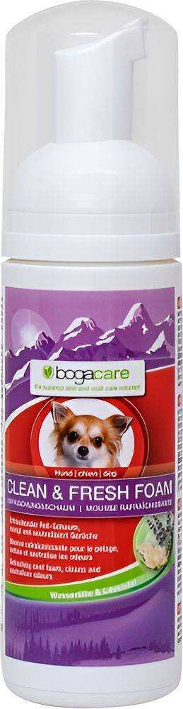 ΑΦΡΟΣ ΚΑΘΑΡΙΣΜΟΥ BOGACARE CLEAN - FRESH (150ML) BOGAR