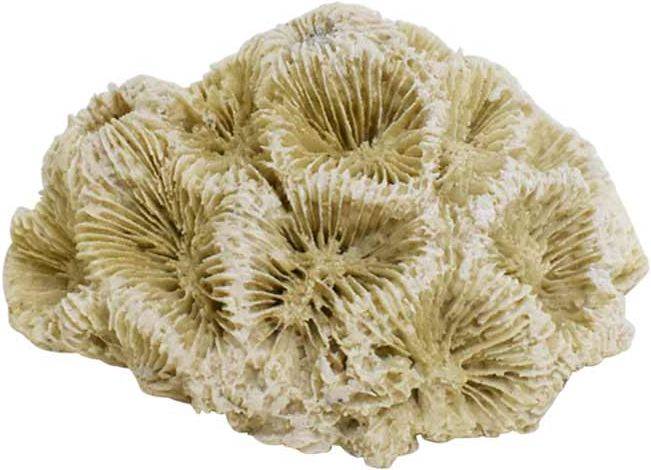 ΔΙΑΚΟΣΜΗΤΙΚΟ NOBBY AQUA ORNAMENTS (6,8X6,3X4CM) NOBBY