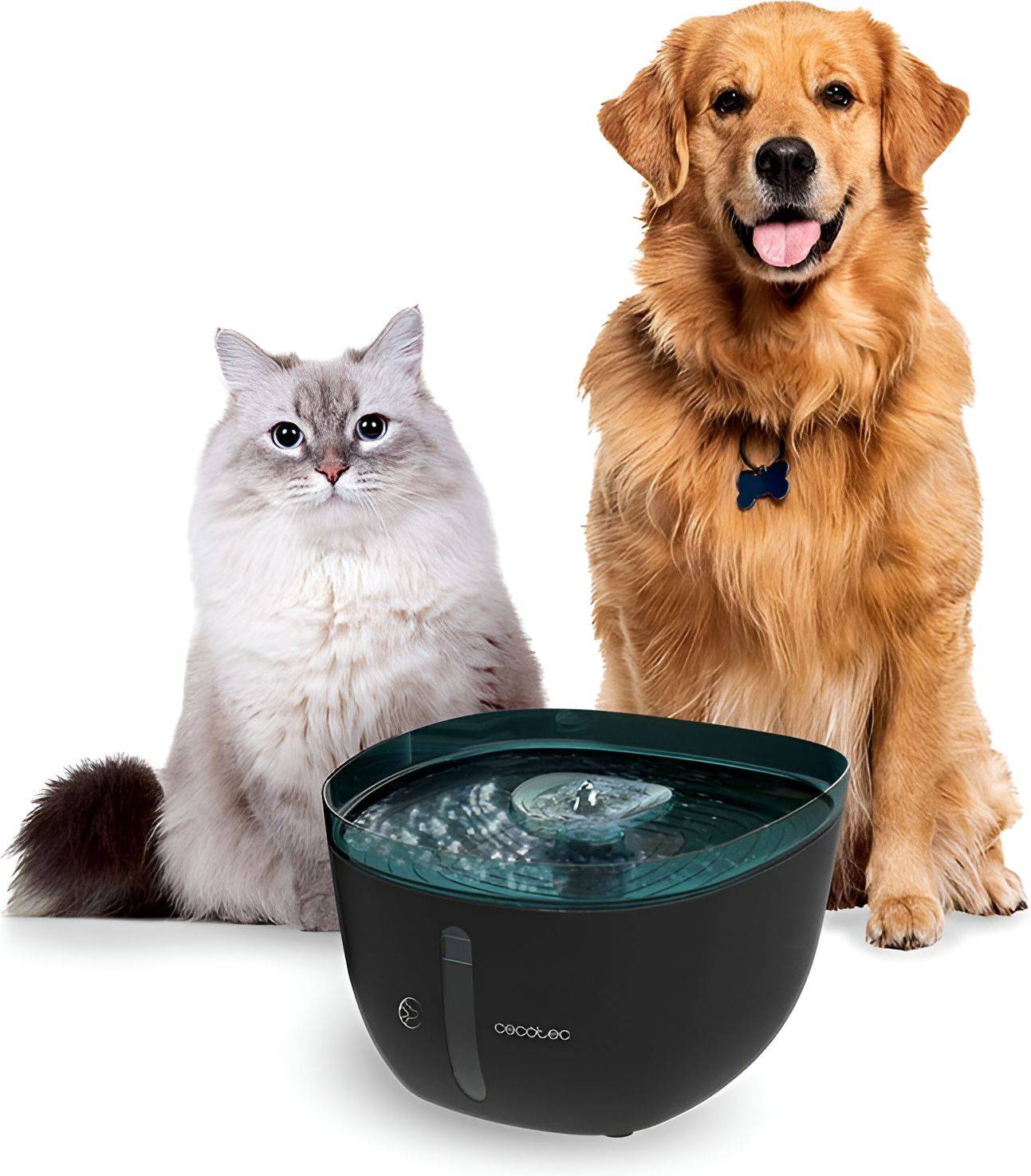 ΠΟΤΙΣΤΡΑ CECOTEC PUMBA 2200 REFRESH 09561 ( 9,5 X 23,3 X 13,5 CM / 2L) CECOTEC