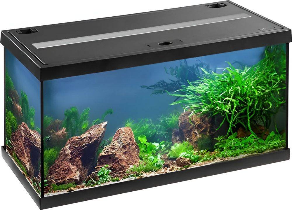 AQUAPOR ΕΝΥΔΡΕΙΟ EHEIM AQUASTAR LED ΜΑΥΡΟ (54LT /60X30X30CM)