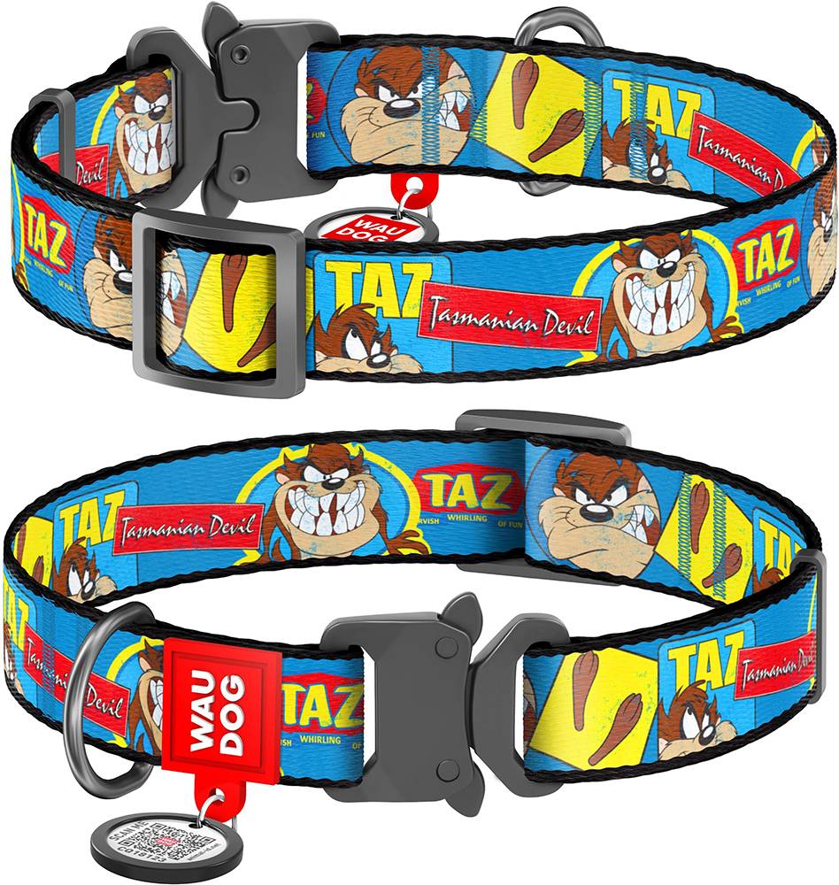 ΠΕΡΙΛΑΙΜΙΟ WAUDOG LOONEY 8 METAL FASTEX (25MM / 31-49CM) WAUDOG
